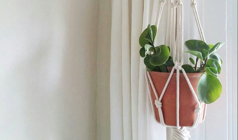 Make Your Own Hanging Planter - NextFab