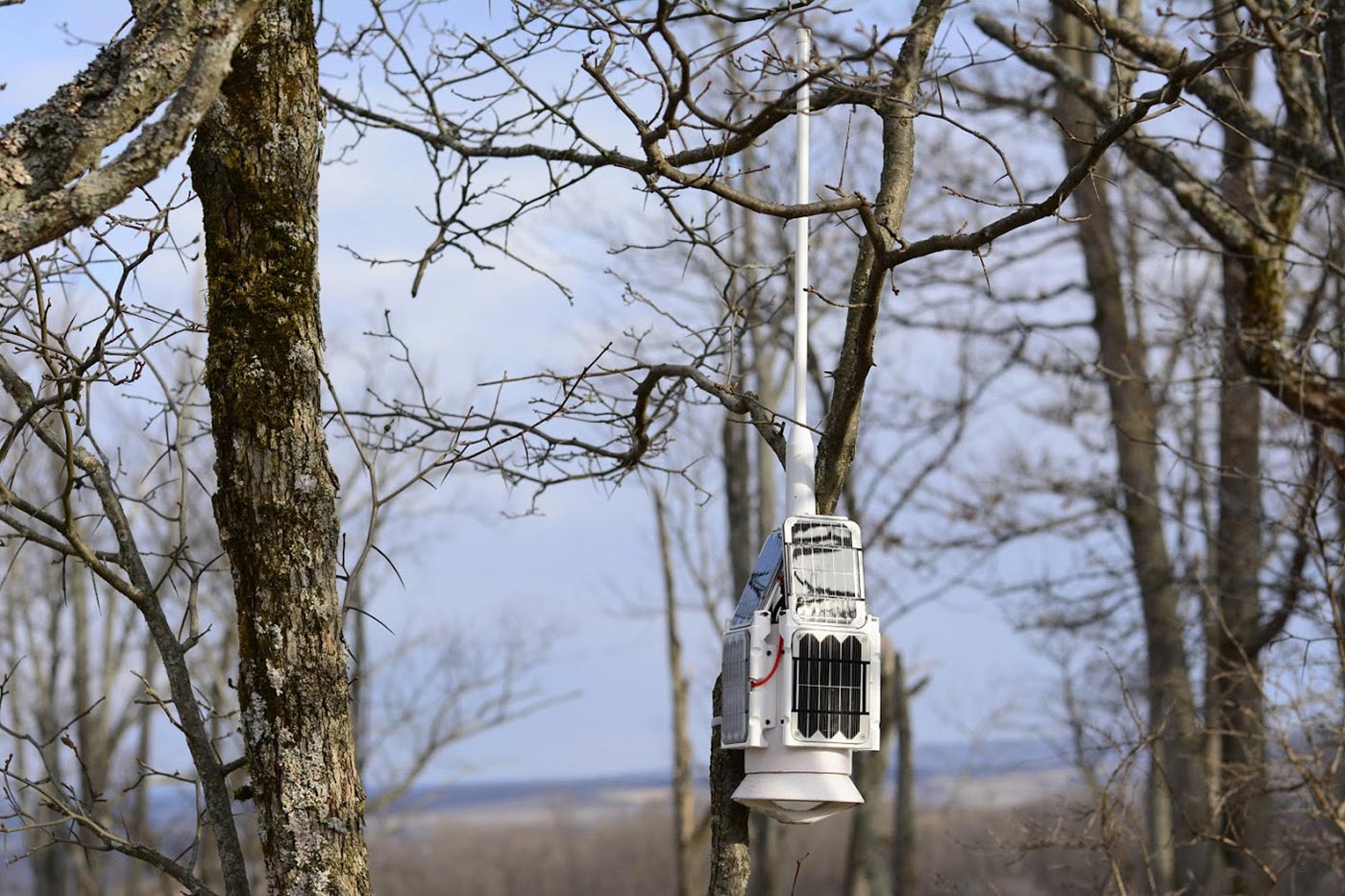 One of the Outland Analytics devices set up in the Finger Lakes National Forest.